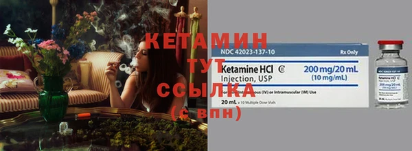 индика Богданович