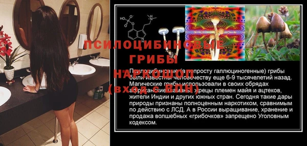 apvp Бородино