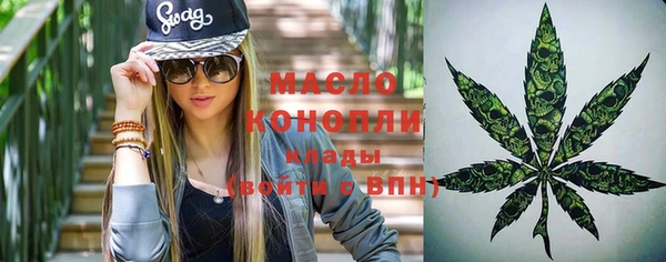 apvp Бородино