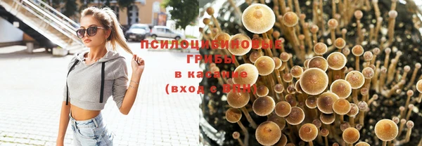 бошки Бугульма
