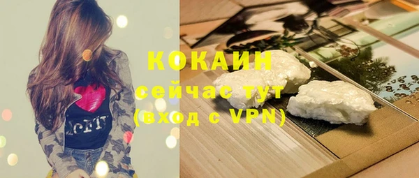apvp Бородино