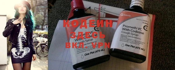 apvp Бородино